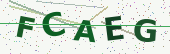 Security code image